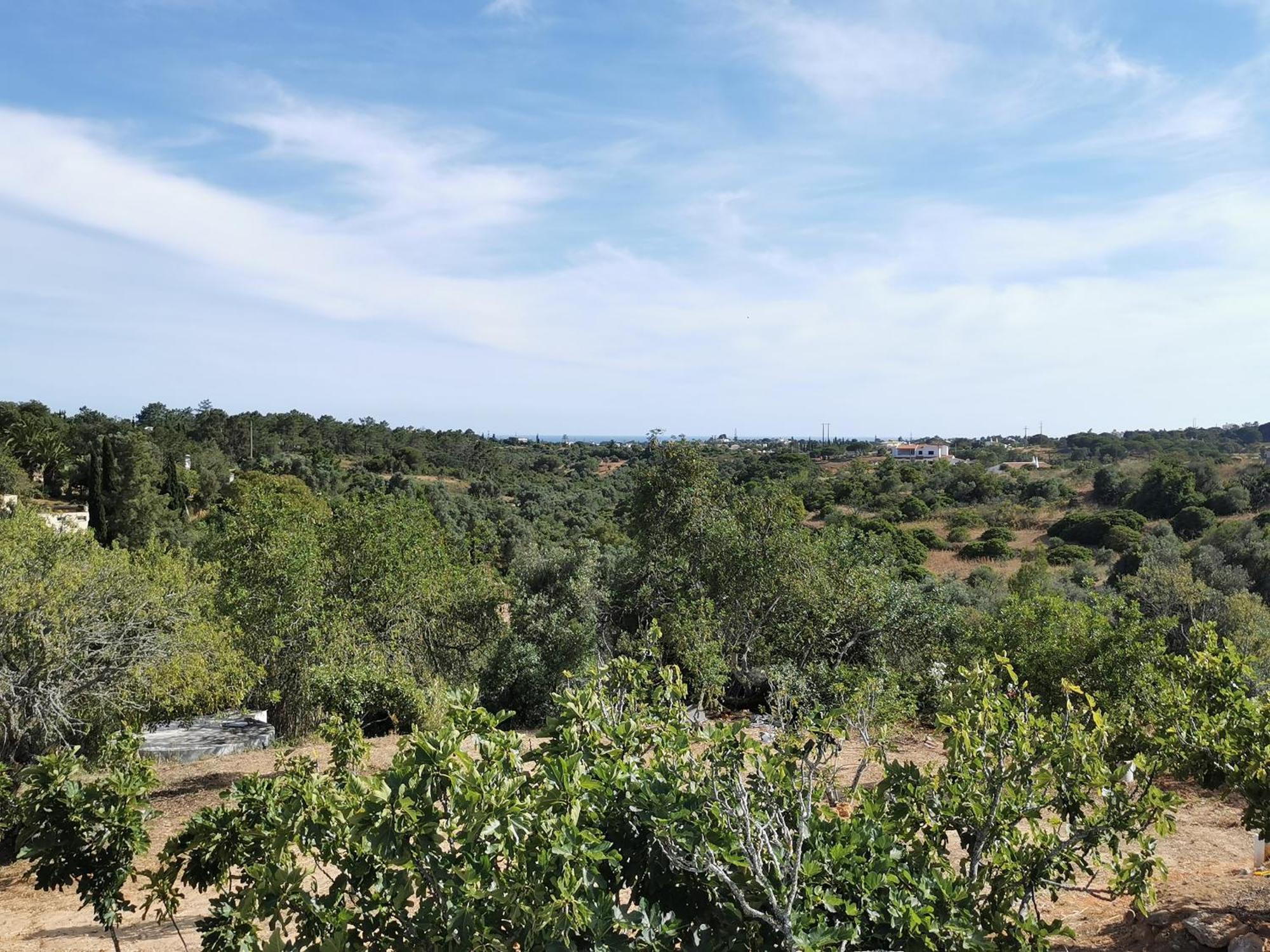Beguest Casas De Taipa Villa Lagoa  Kültér fotó